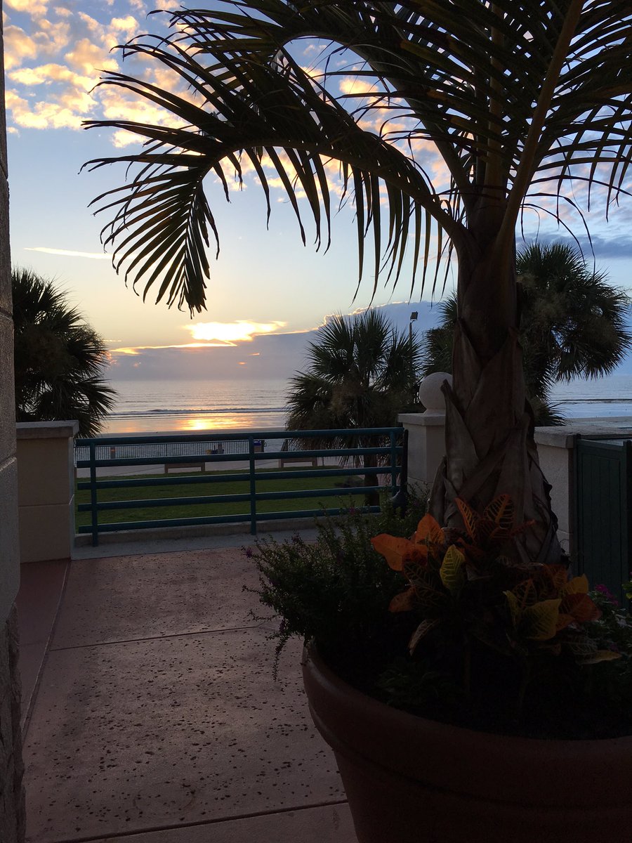 AcademicAnnVCS's tweet image. Prepared for a great first day back with our teachers and check out our view. #AwesomeOsceola #vcsignite