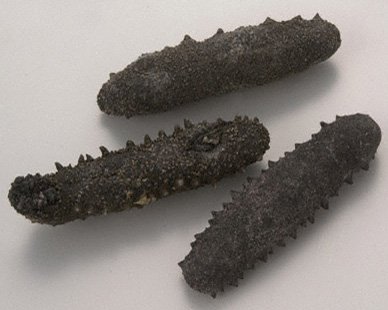 漢検1級熟字訓 当て字 Twitterissa 海参 煎海鼠 熬海鼠 いりこ なまこのはらわたを取って干したもので中華料理の材料となる 西日本でいういりことはイワシの煮干しで別物 T Co 2akjxgpyku Twitter 漢検1級熟字訓 当て字 Twitterissa 海参 煎海鼠 熬海鼠 いりこ なまこのはらわたを取って干したもので中華料理の材料となる 西日本でいういりことはイワシの煮干しで別物 T Co 2akjxgpyku Twitter