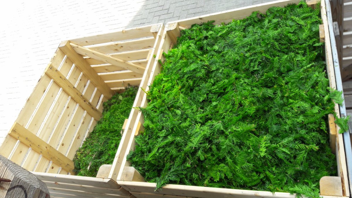 Steun de strijd tegen kanker lever t/m 31-8 bij de Milieustraat Gorredijk taxussnoeisel in vergrootdehoop.nl