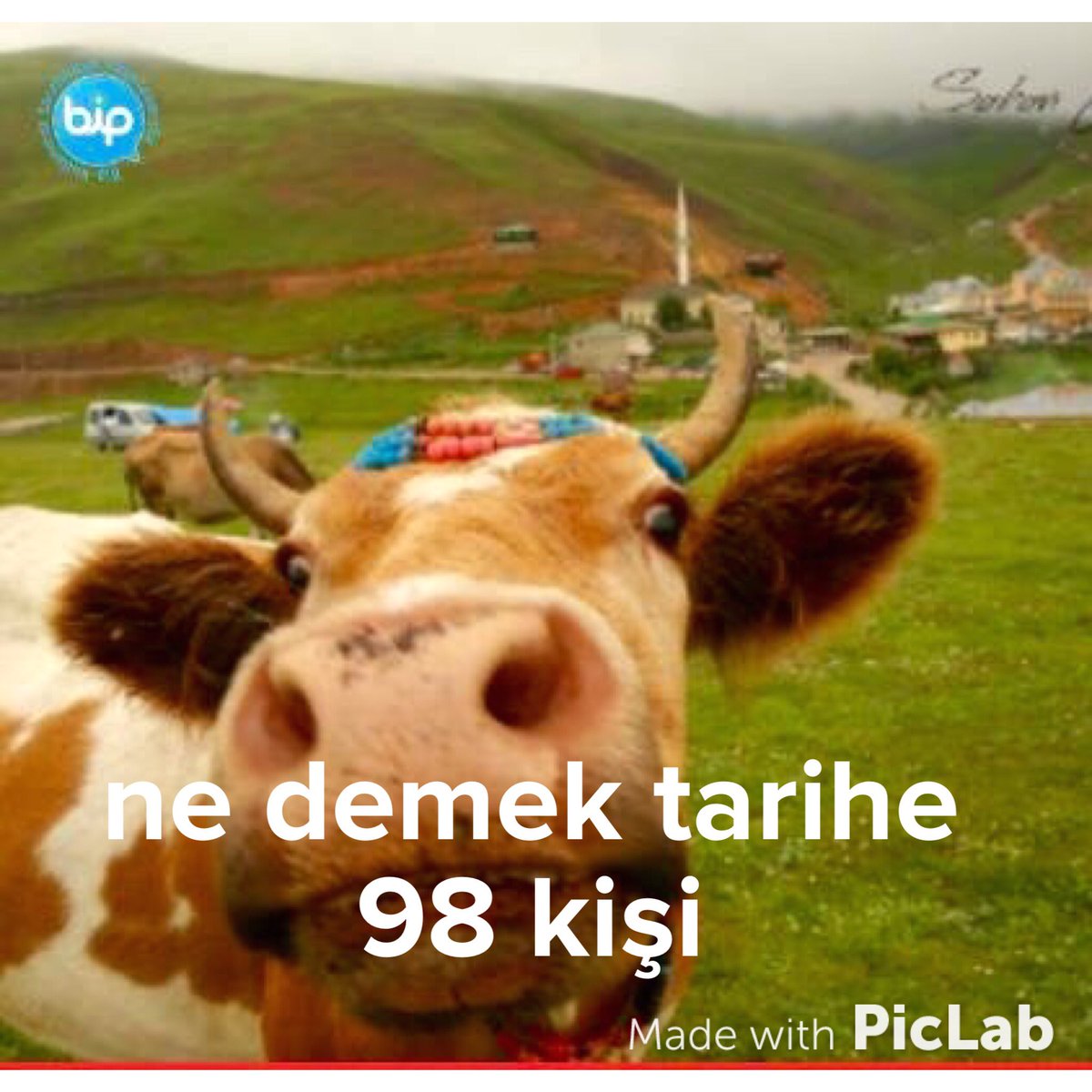 tarihintesi's tweet photo. Ne demek he möööö https://t.co/mddUQxHwbf