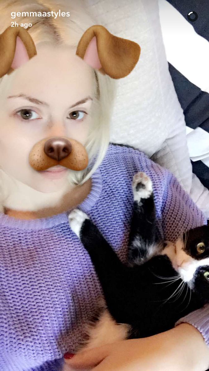 Lily tweet media