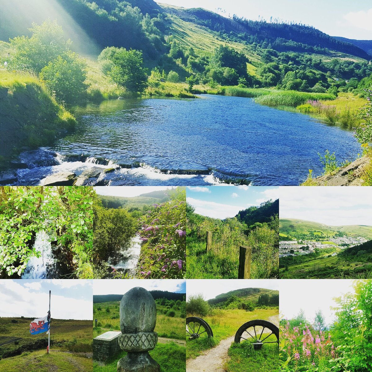 PriceCookie27's tweet photo. Afternoon walk #howgreenisourvalley #loveit #summer #needtowalkmore https://t.co/CFXyuDYc8t