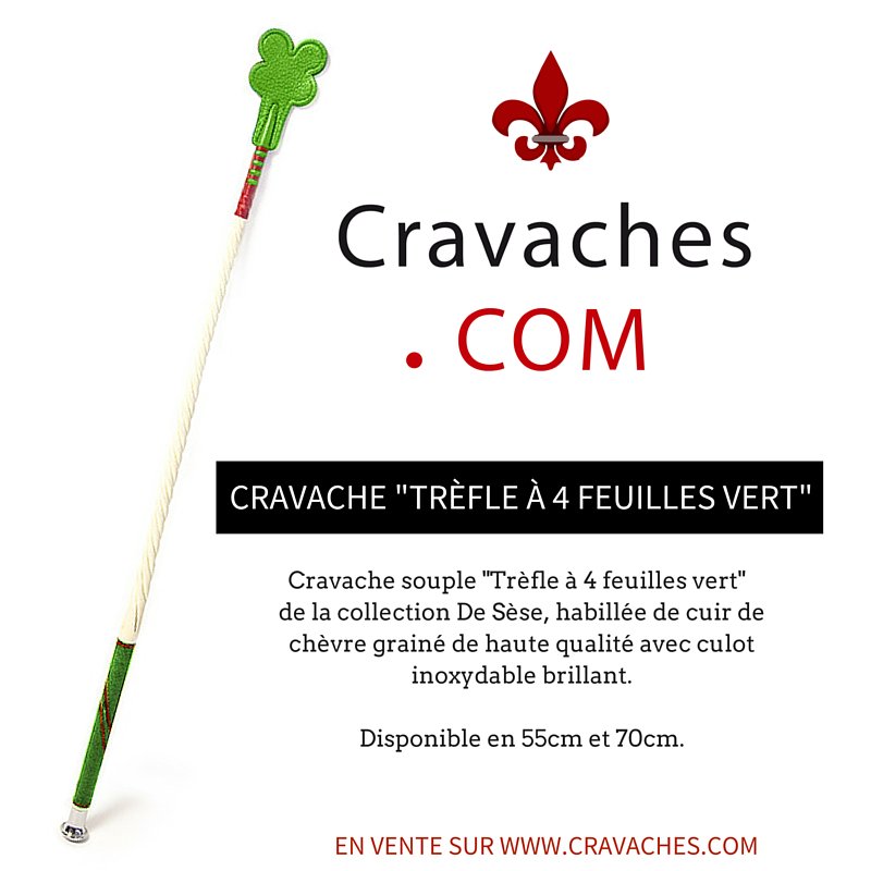 cravachesFr's tweet photo. Retrouvez tous les modèles de cravaches en exclusivité sur https://t.co/KHBV9TwjCw #CravachesFr https://t.co/d9MUzjLOpc