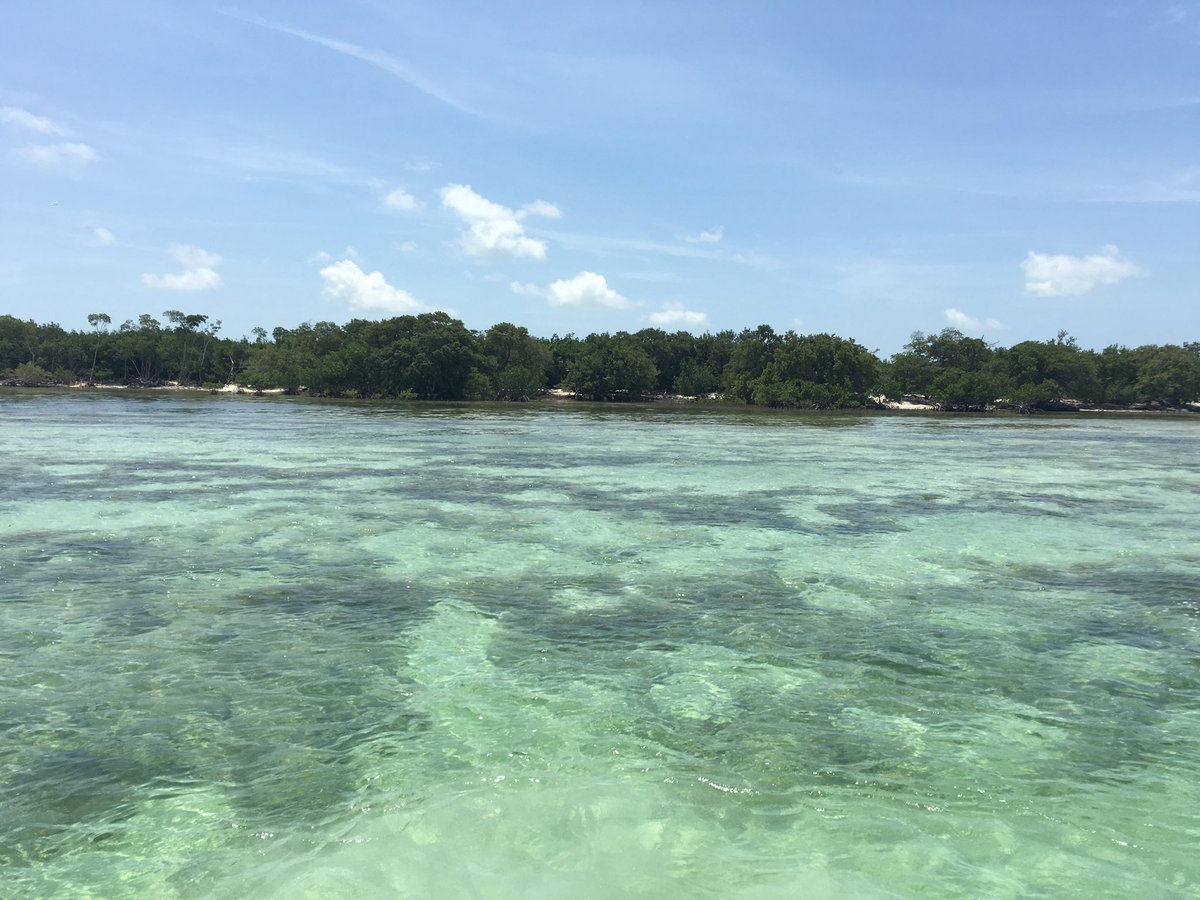 Working for the weekend 🏝