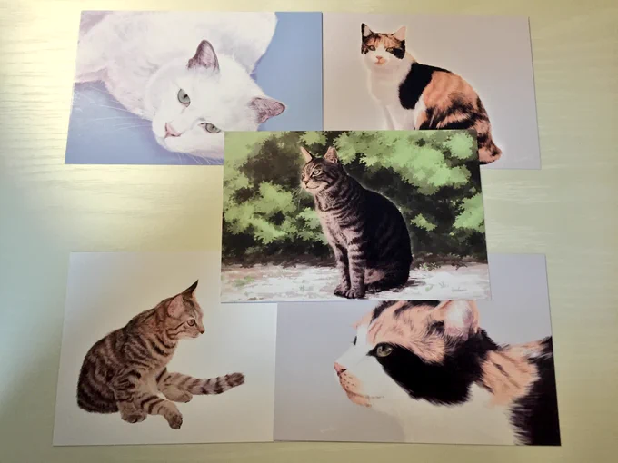 木立拾さん(@10_grove )のポストカードを購入させていただいたのでした。猫好きにはたまらないラインナップ! 