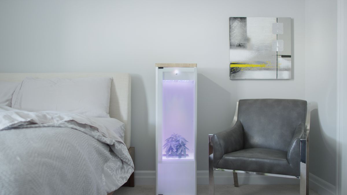 verge's tweet photo. This glowing obelisk will grow weed in your bedroom at the touch of a button https://t.co/mWZJMzICgr https://t.co/M4uqIo8RUD