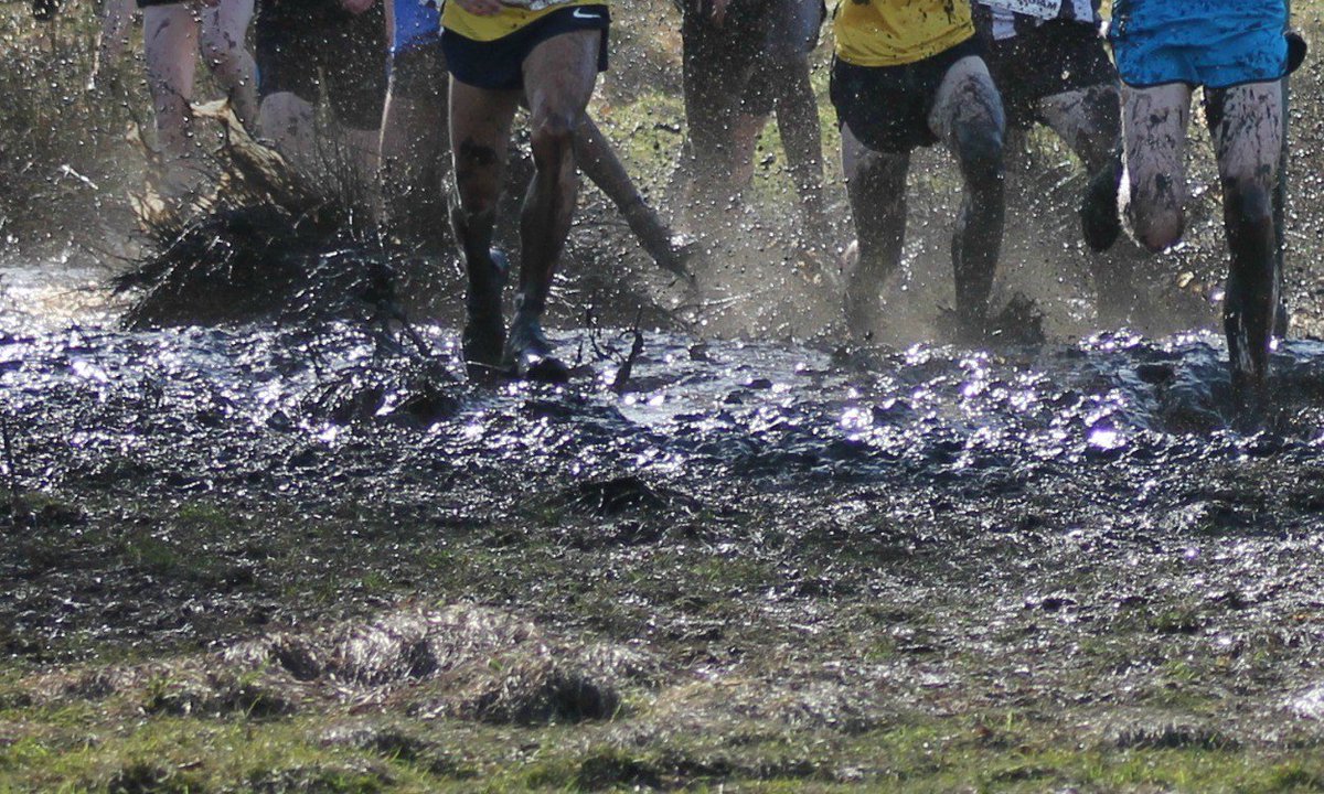 IkeCrosscountry's tweet photo. 6 days until CROSS COUNTRY! #IkeCC #CantWait #Guts https://t.co/RuP8SawUsY