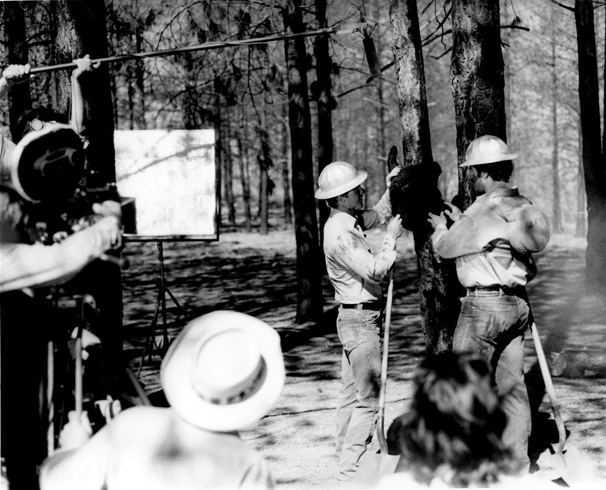 Happy 72nd birthday <a href="/smokey_bear/">Smokey Bear</a>! Born #OnThisDay 1944. #SmokeyBday