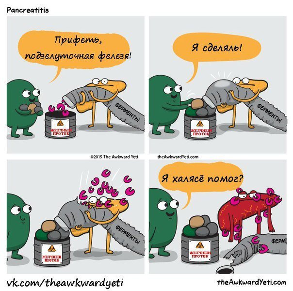 из жизни поджелудки