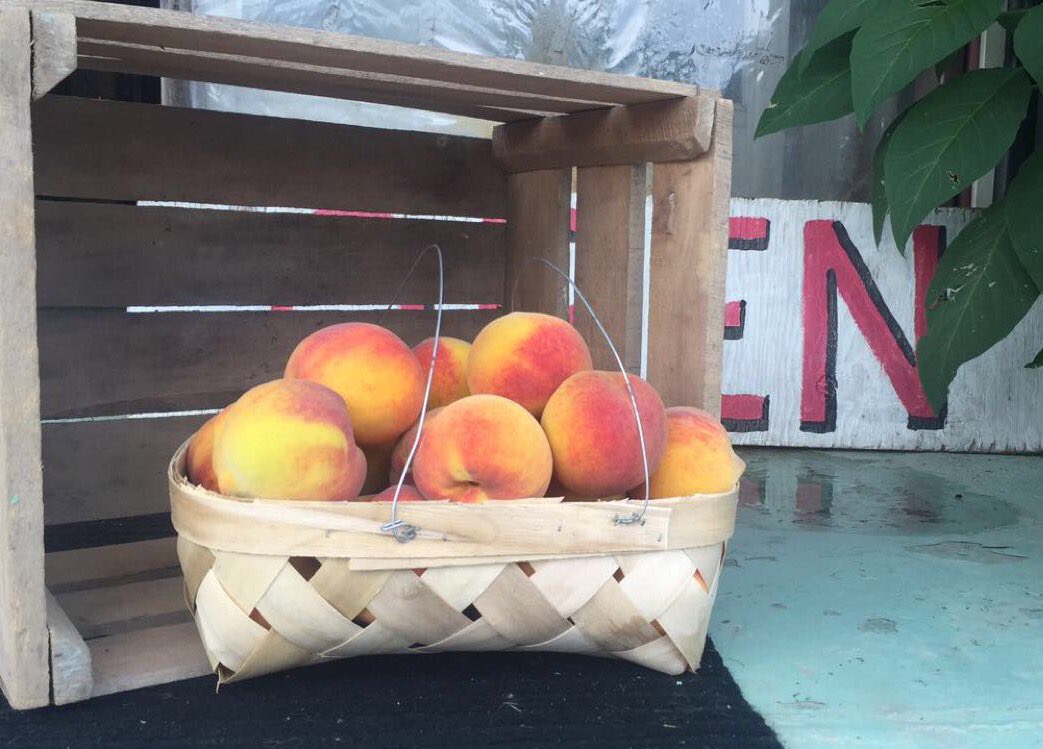 Scott's Orchard tweet media