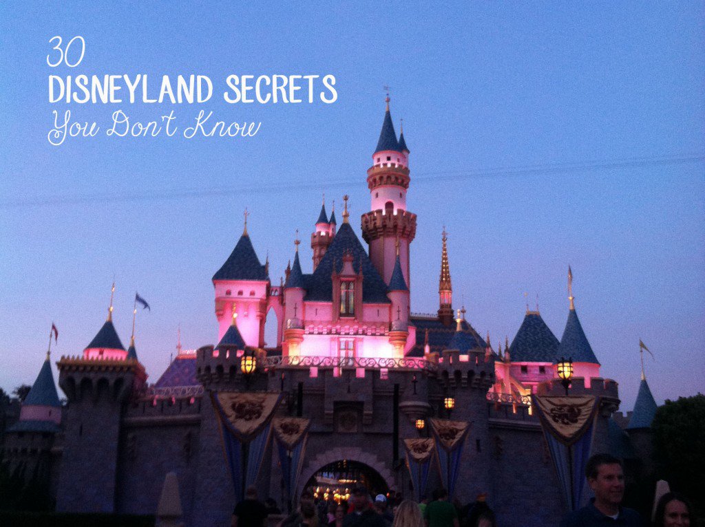 Who wants the inside scoop on Disneyland? Check out these great insider tips...
wanderwisdom.com/packages-tours…