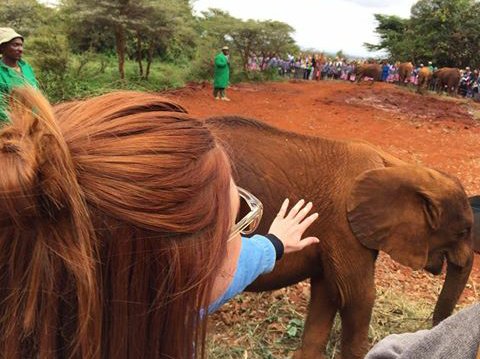 bestofbwright's tweet photo. bonnie wright's recent ig post | with animals 😻 https://t.co/hH7je9KU3w