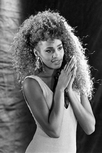 Whitney and the lion tresses. Her hair was blended tho. Get into it.