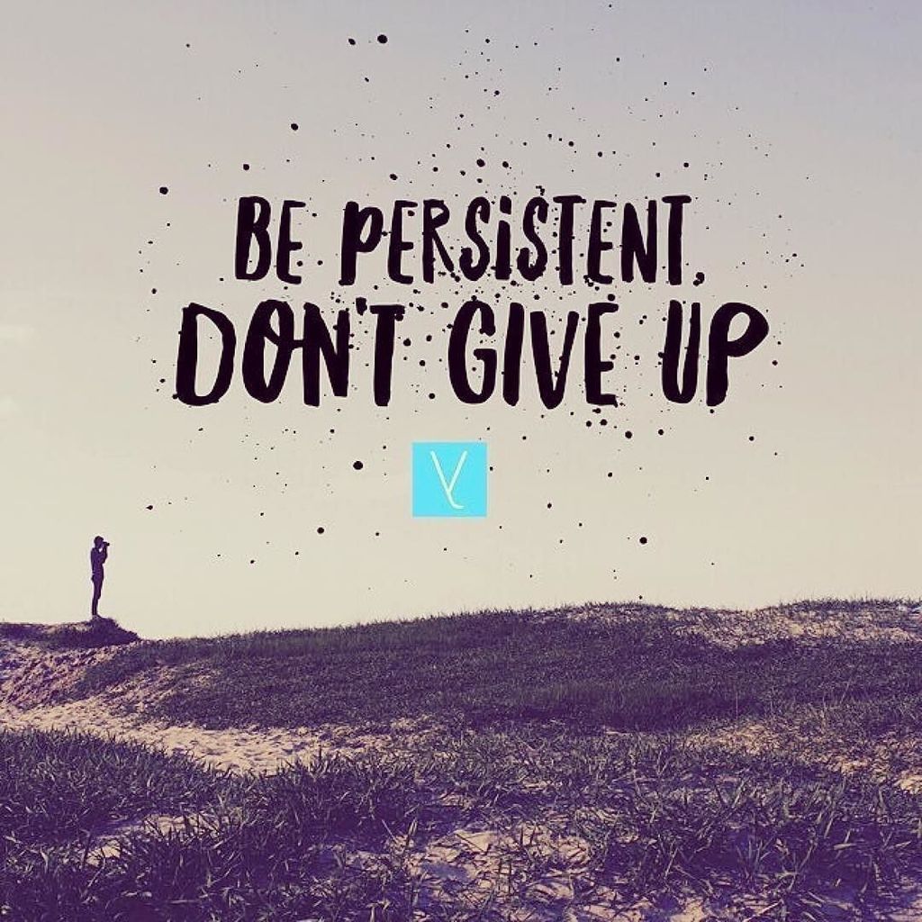 everything i did tweet media