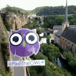 Photo by Pixel the OWL (@PixelTheOWL)