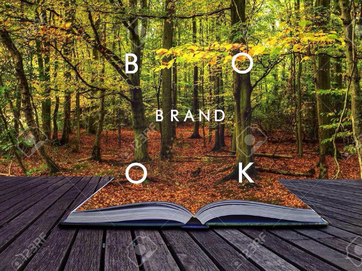 Книга лес. Книга в лесу. Книжка в лесу. Пейзаж с книгой. Книги на фоне леса осень.