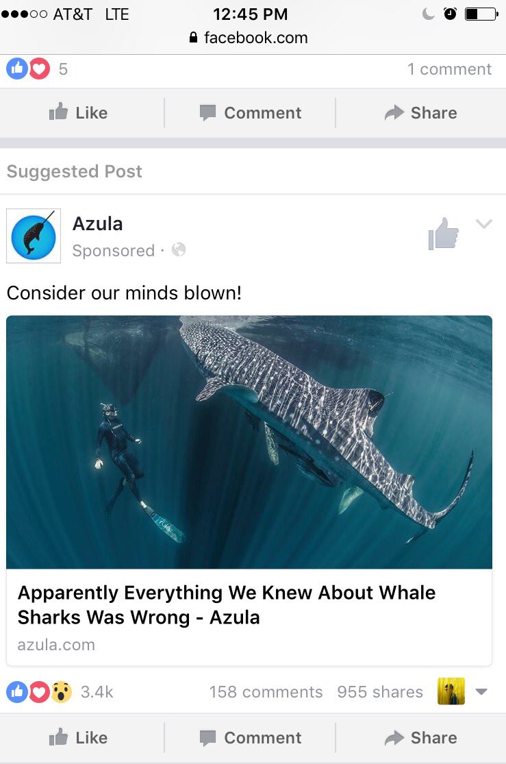 lukedurett's tweet photo. This clickbait vastly overestimates my level of knowledge on whale sharks. https://t.co/qcp7XqTp6g
