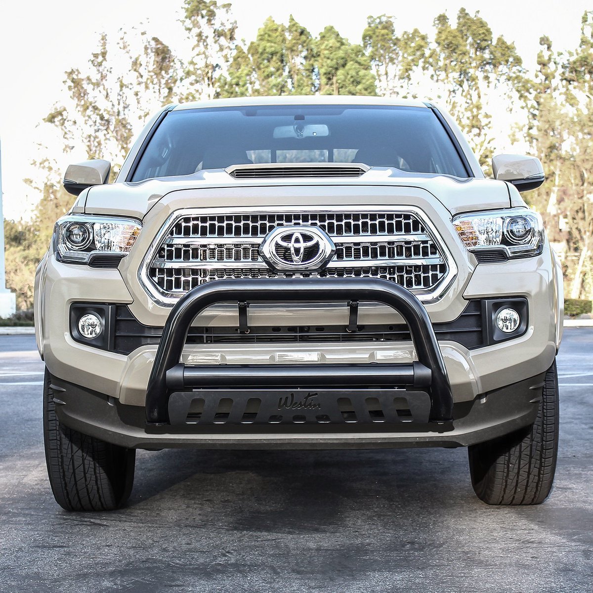 Westin Automotive Ultimate Bull Bar on a 2016 Toyota Various