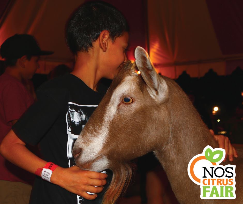 nos_events's tweet photo. Keep your friends close and your goats closer!! π #NOSFair https://t.co/F4KzNw056C