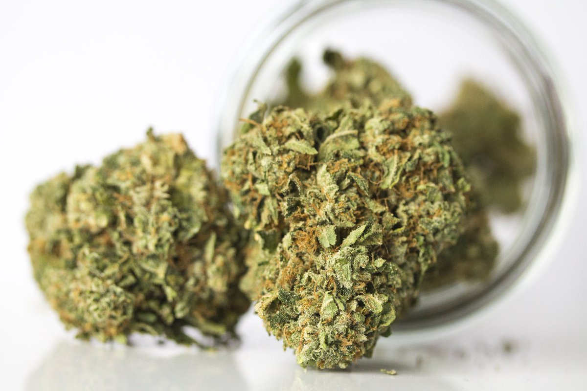 wpgrp420's tweet photo. All day 5 gram 8ths! Don't forget to get yours! #weed #marijuana #mmj #stoner https://t.co/gBOpABjW5b