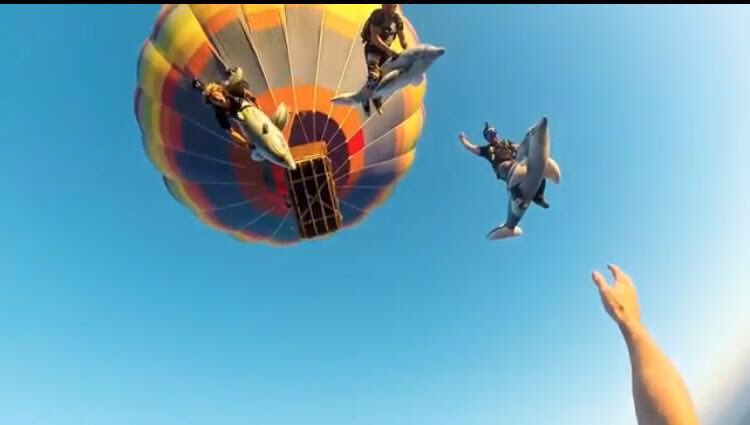 Mareena__M_'s tweet image. MEUS LINDOS AMIGOS ,MEU OUTRO IRMÃO CHEGOU❤️❤️❤️ AAAAAAAAAAA @Apolo_Tb