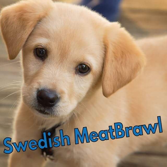 royalcityroller's tweet image. RCRG's #freshmeat team Puppies of Pain are on the track this Saturday. rollerderbyaugust.bpt.me #dogsofderby