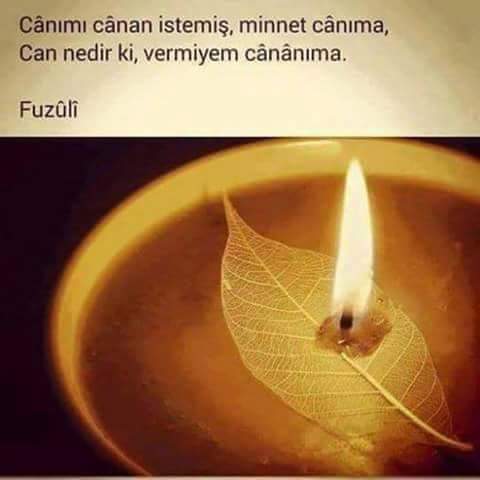 sevim_sarac's tweet photo. #birsiirdebenden https://t.co/HFCFreShDM