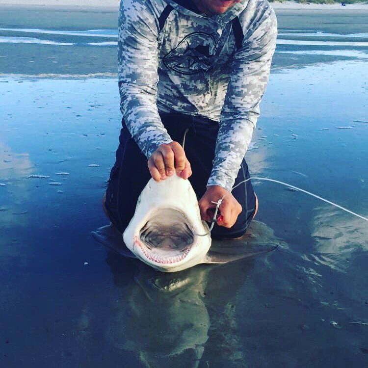 Fisherman_Forum's tweet photo. Locked and loaded down in @hiltonheadsc #lowcountry #sharksonsand https://t.co/shetWUnIAZ
