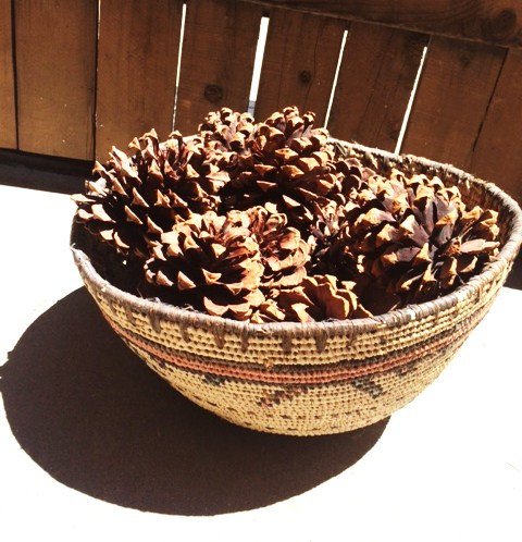 LadyinHawk's tweet image. Conifer Pine Cones, Collection of 18 - Treasures of Jemez New Mexica… etsy.me/1QXYWmR #vintage #DiyCreations