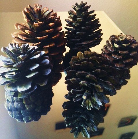LadyinHawk's tweet image. Conifer Pine Cones, Collection of 18 - Treasures of Jemez New Mexica… etsy.me/1QXYWmR #vintage #DiyCreations