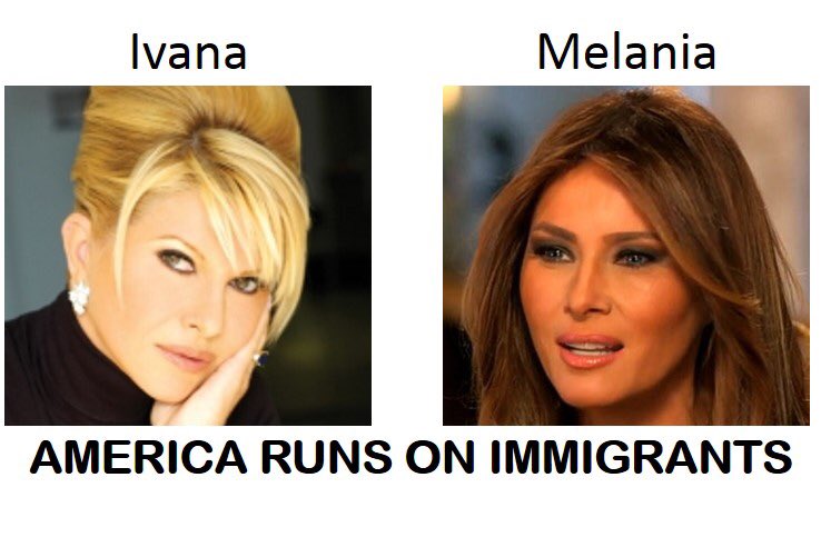 CasaVitruvius's tweet photo. In case #Trump forgot: #AmericaRunsOnImmigrants https://t.co/T1Oim9HaGR