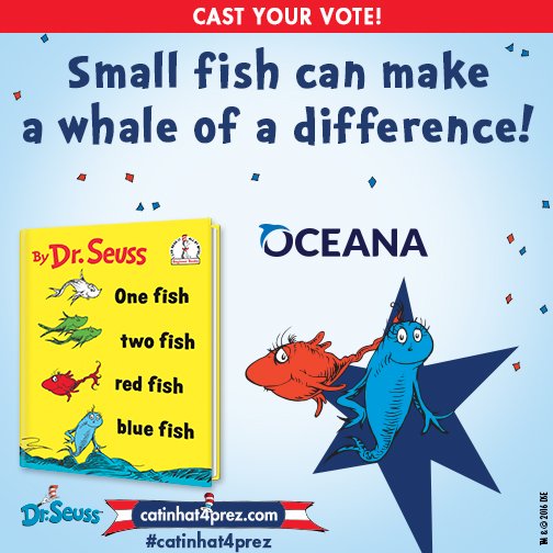 oceana's tweet photo. Small fish can make a whale of a difference! Vote for #ocean conservation in @catinhat4prez https://t.co/UUDabWtWeg https://t.co/yywz5N0HFX