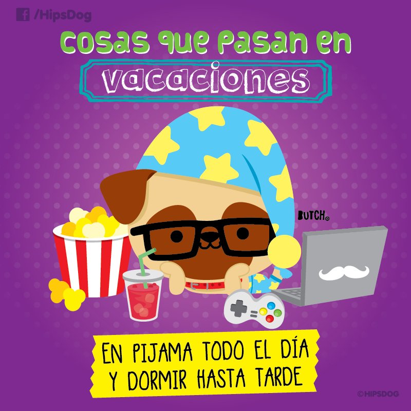 Hipsdog's tweet photo. mmm #Vacaciones ¿Quién está disfrutando de ellas? #HipsDog #Butch https://t.co/WeXTdFTkLA