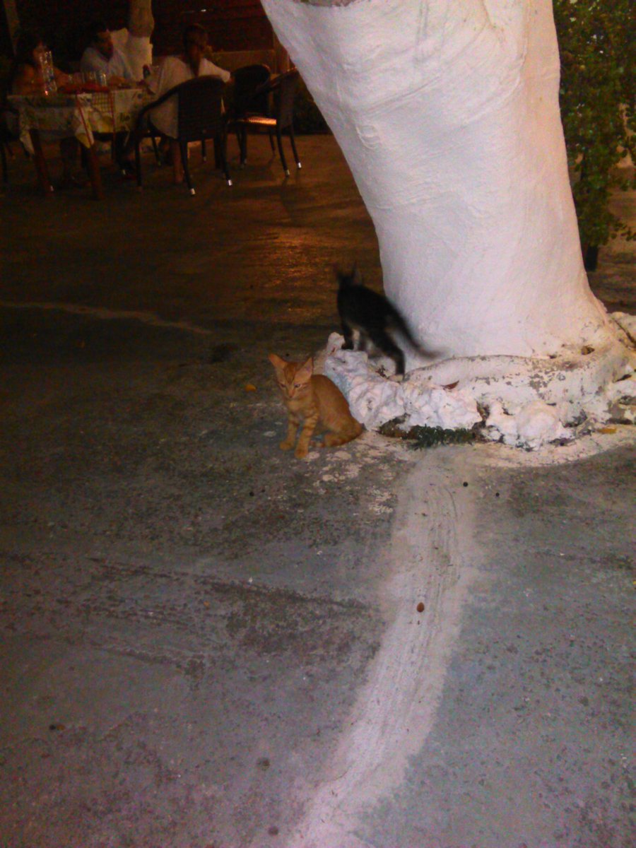 Jan Philipp Jacobs (@philipp_jacobs) on Twitter photo 