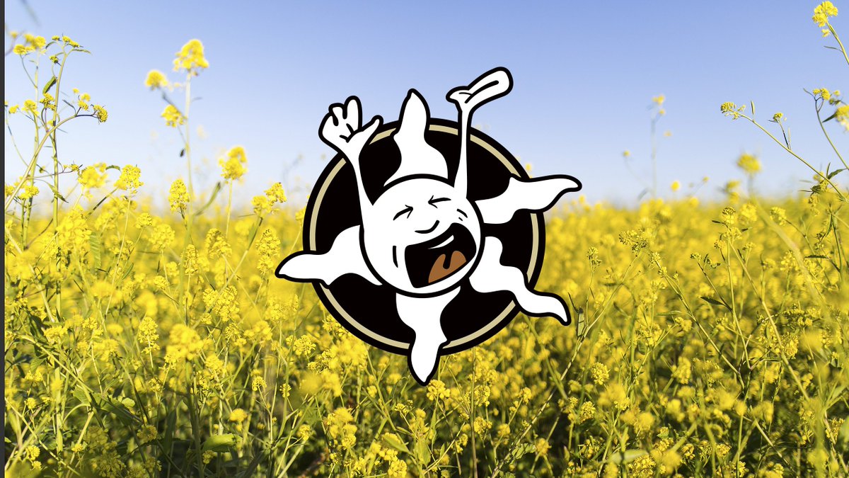 BreakOfYawn's tweet photo. Listen to relaxing #Chillhop while you work with our new Playlist Guide - https://t.co/sLDy2ZcFWv | #productivity https://t.co/zbeBAR0xqf
