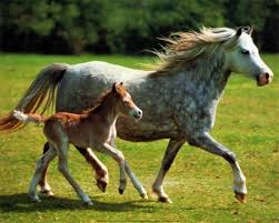 nurfaislam's tweet photo. Felling cool https://t.co/5WPB62tXvN