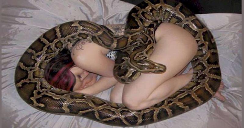 RT Katiejay95: A Woman Sleeps With A Python Every Night But What She Discovers Will Terrif… x.com/FemaIefit/stat…)