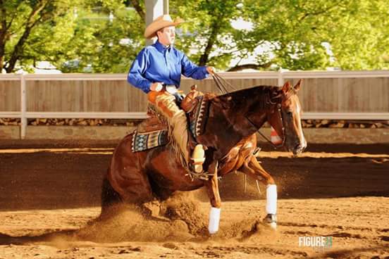 srayes75's tweet photo. #reiningshow #boyfriend #lovemyhorse https://t.co/2VD4baeLKM