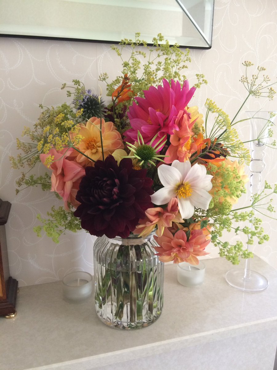 Funky Plant Pots (funkyplantpots) Twitter