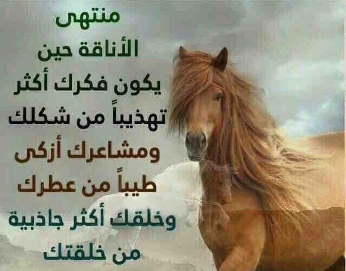 ALBASRAWI_EYAD's tweet photo. https://t.co/JKemFMYP6D