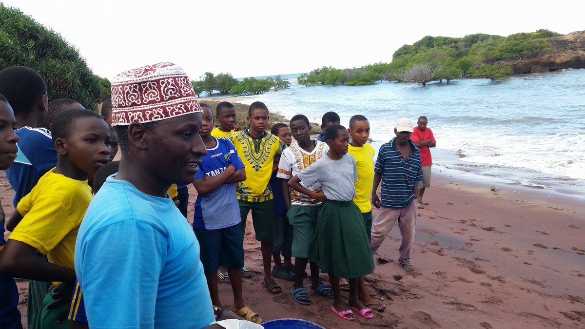 ChildrenOfChoba's tweet photo. Class 7 had some evening entertainment on Sunday whilst boarding with us for their National Exams! #turtleshatching https://t.co/pLXhZPWIBx