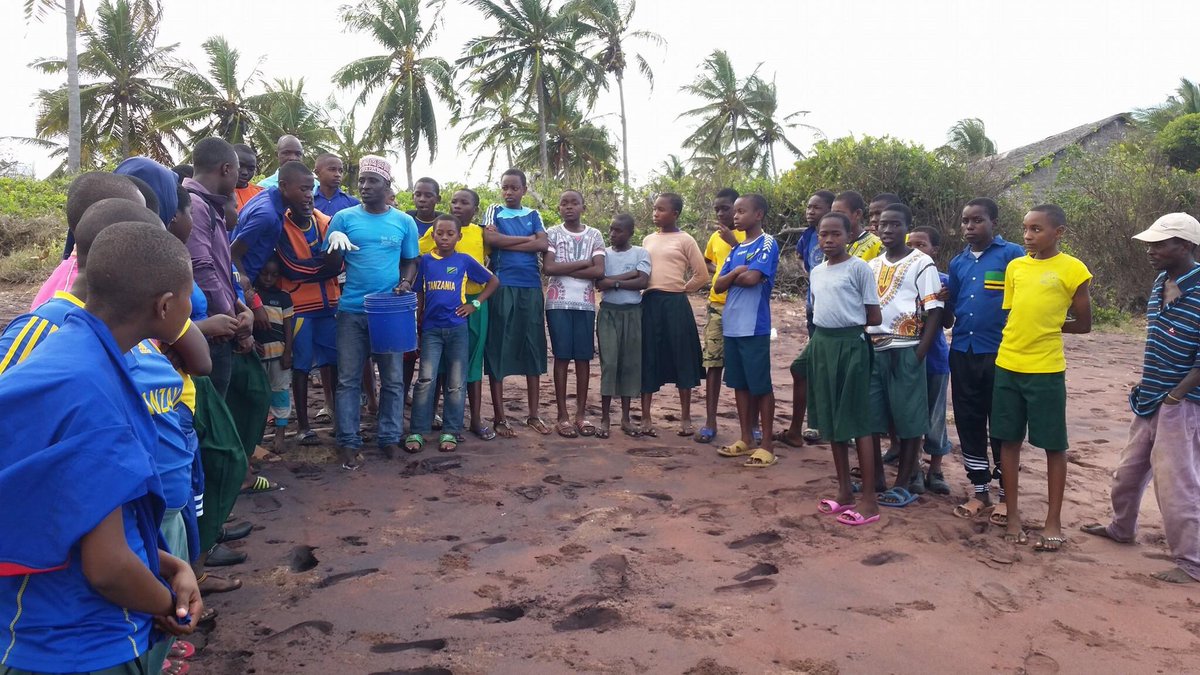 ChildrenOfChoba's tweet photo. Class 7 had some evening entertainment on Sunday whilst boarding with us for their National Exams! #turtleshatching https://t.co/pLXhZPWIBx
