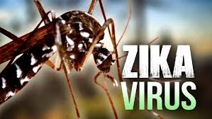 UVInow's tweet photo. Here's What to Do if You Think You Have Zika
#zika #miami #virus #prevention 
https://t.co/8BV5sj3vQQ https://t.co/ljVDOX6tPy