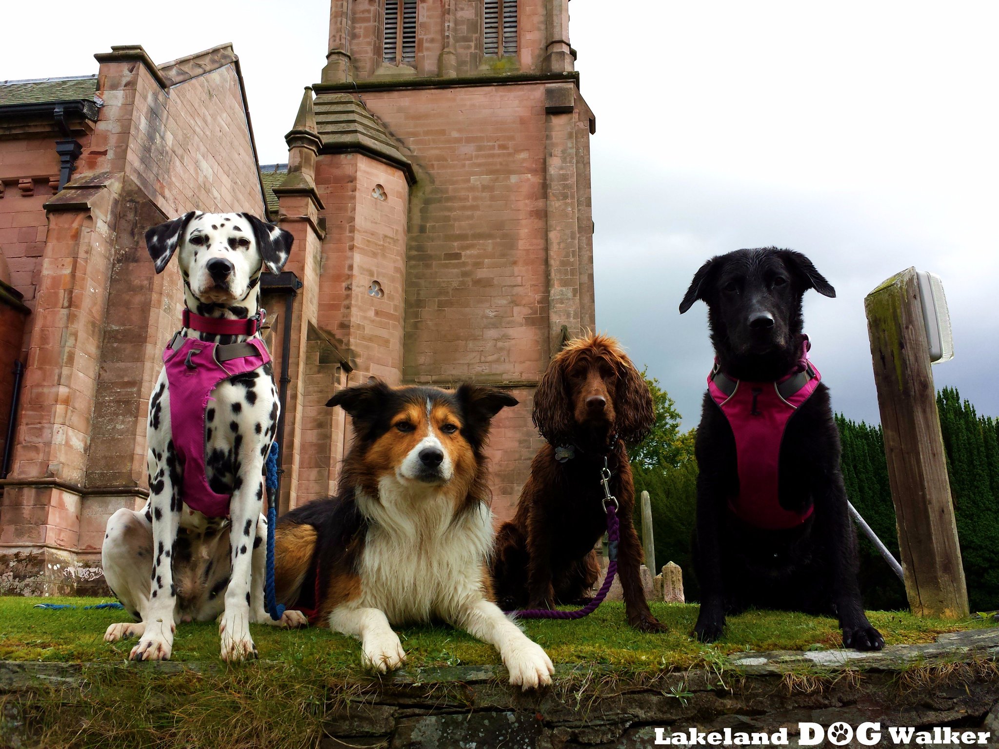 Lakeland Dog Walker on Twitter "We dodged the rain showers in Keswick