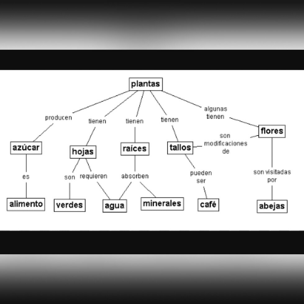 angieSan1998's tweet photo. #2016ICAM02
Los mapas conceptuales, nos ayudan a organizar los conceptos.Ej: https://t.co/2KDqL1ErXf