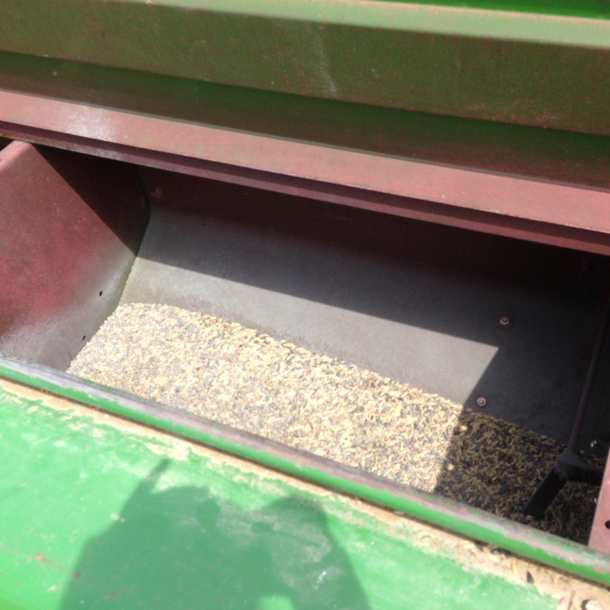 Erin Eagen tweet media