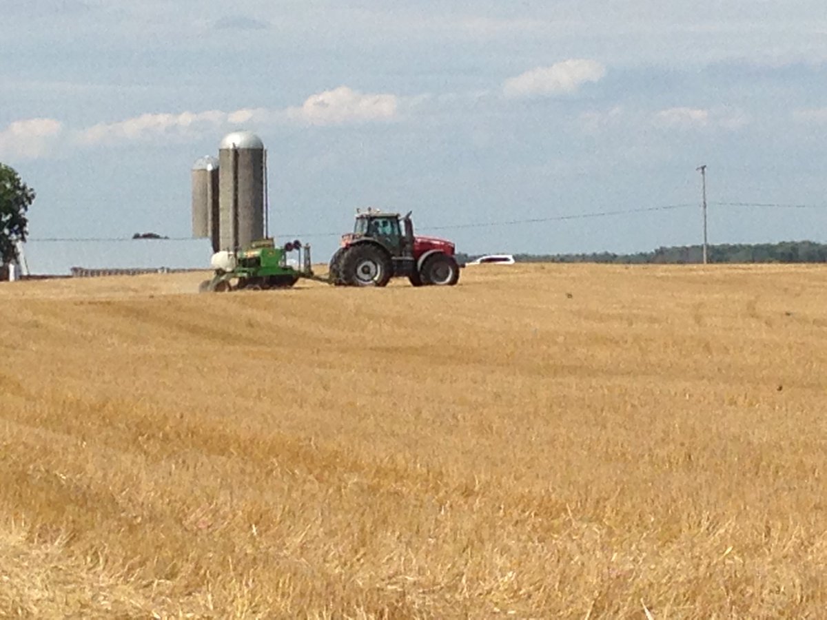 Erin Eagen tweet media