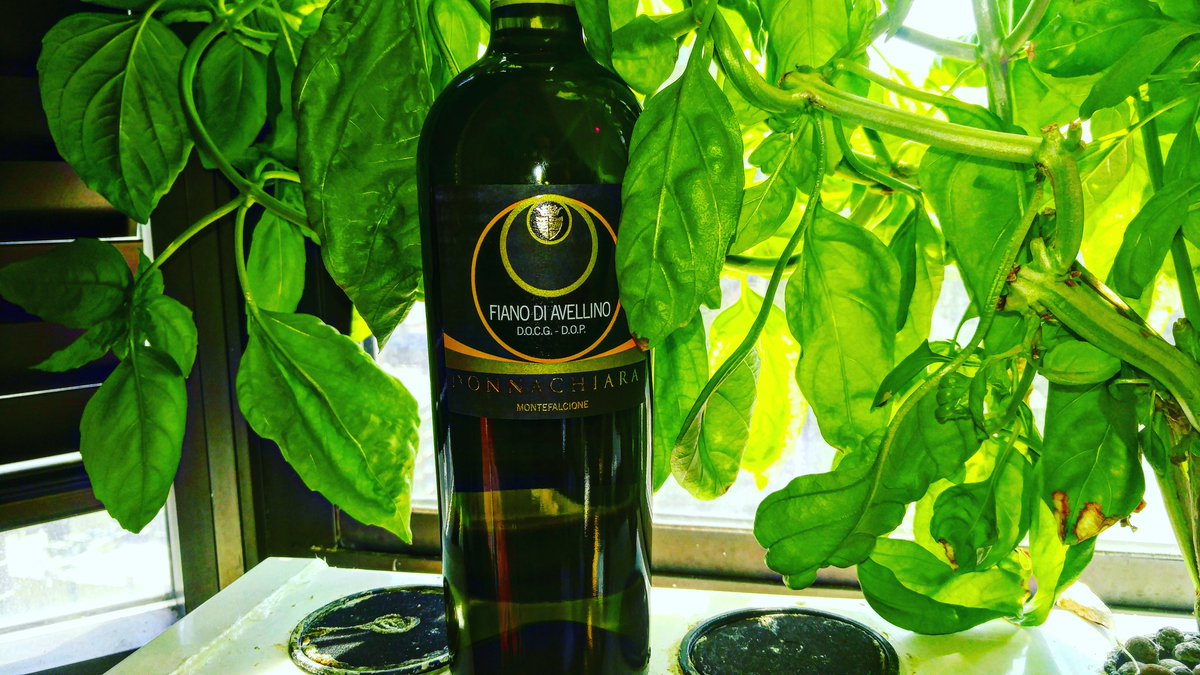 damewine's tweet photo. A little basil for that Fiano di Avellino! Hehehe.. #wine #winelover #fianolover #basillover #damewine https://t.co/9NSCxeUo2o