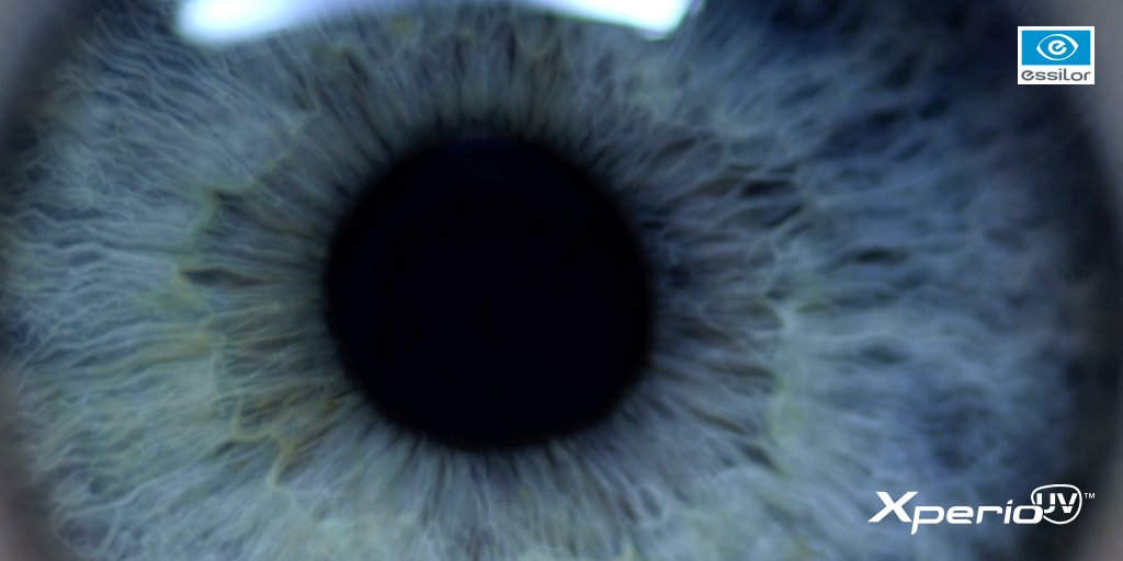 essilorusa's tweet photo. Why pledge #EyeWill? These firsthand experiences share why #UV eye protection is a must. https://t.co/oDSvojOK5i https://t.co/txVIrdGFS1