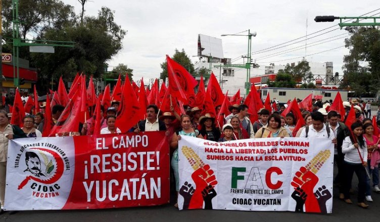 Merida_Noticias's tweet photo. #NoticiasMérida "Yucatecos protestan en la CDMX por mejores condiciones para el argo" https://t.co/P5vtnmlzxY https://t.co/72lzoTfYF7